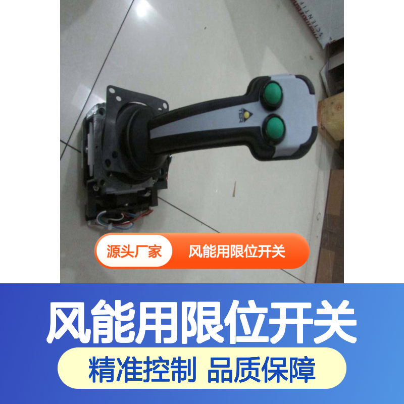 TER品牌风能用限位开关PF090301000184-3142