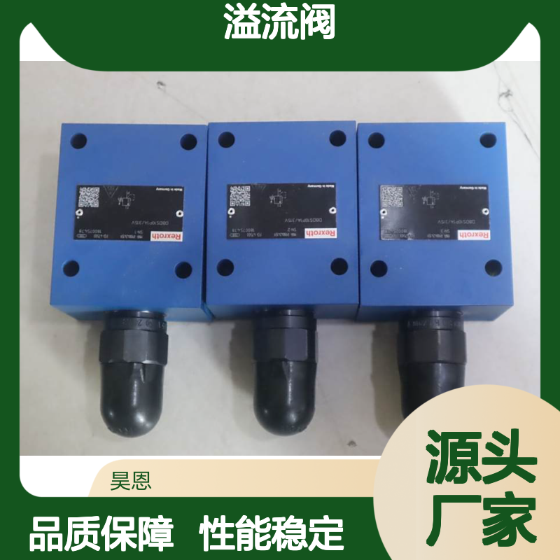 R900424159 DBDS10P1A/315V DBDS10P1X/315V Rexroth力士乐溢流阀