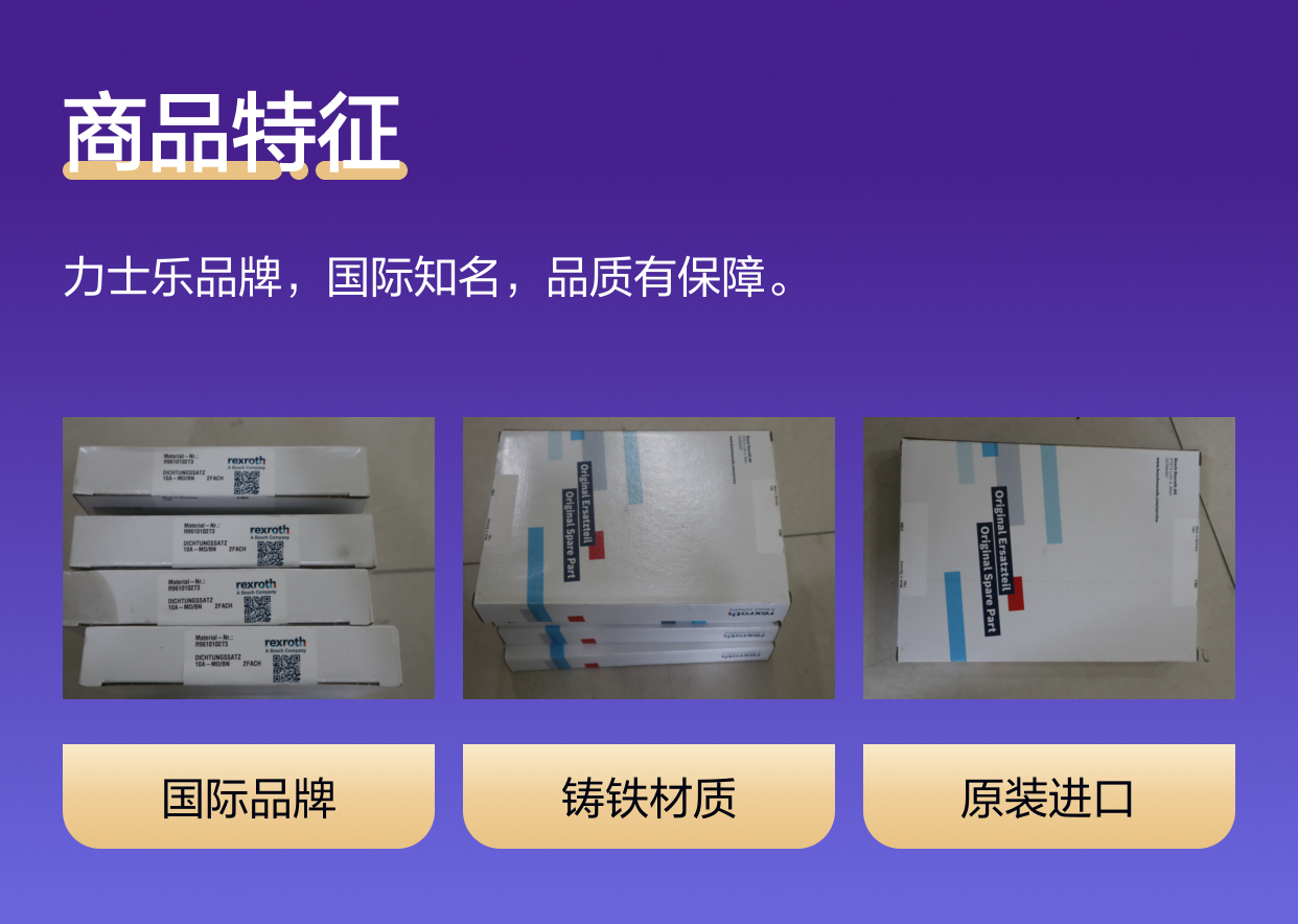 力士乐REXROTH蓝色铸铁密封套件R961010273液压系统用
