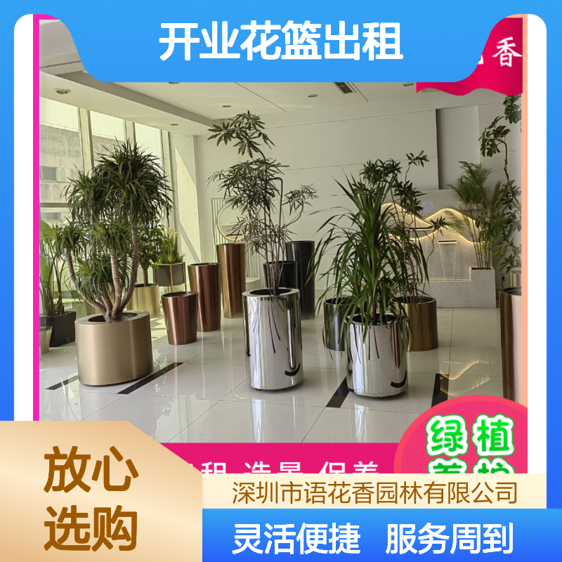 开业花篮出租 绿植盆栽组合租赁 短期长期灵活租摆服务
