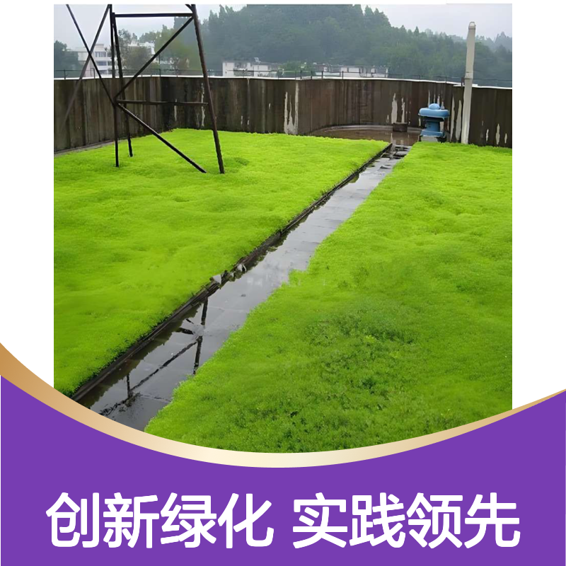 屋顶花园 楼顶绿化的创新与实践 减轻重量 保温与防水同时进行