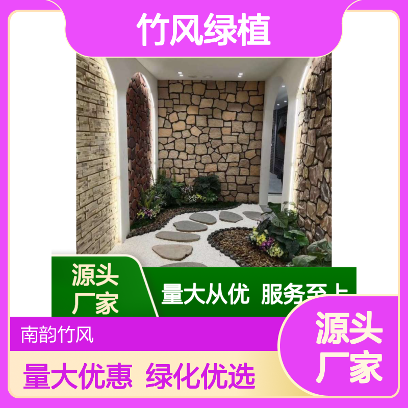 南韵竹风绿植租摆 厂家直供品种多样 成活率高