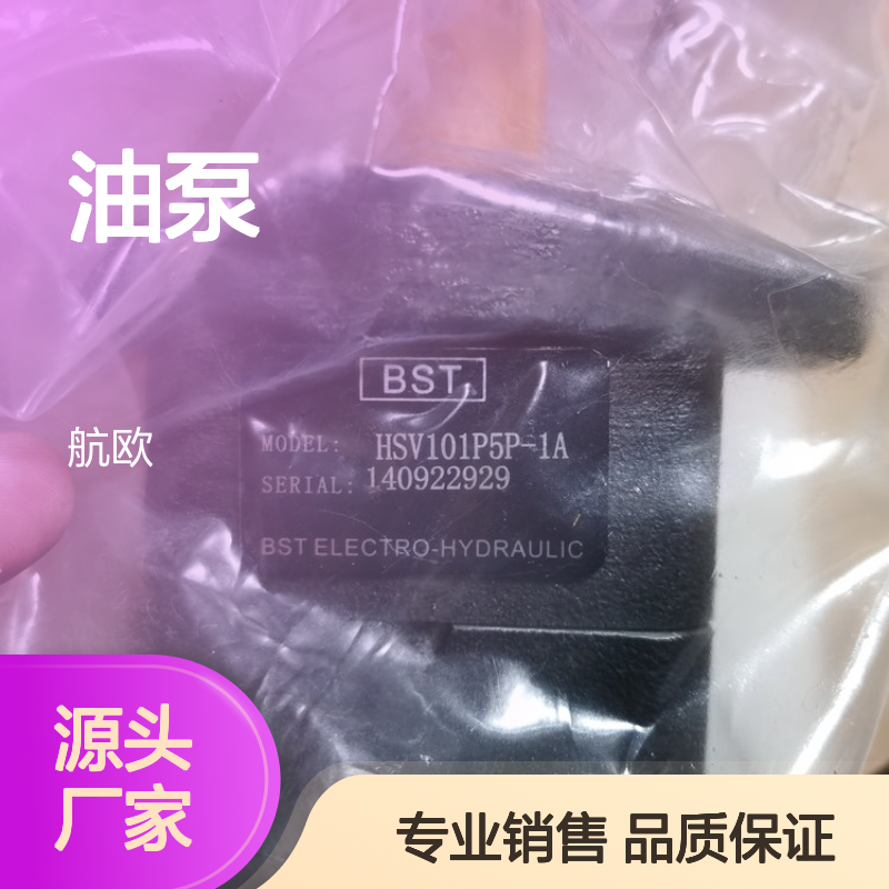 BST 油泵 HSV101P5P1A BLOCK电源PC-0324-100-0 BESTA液位传