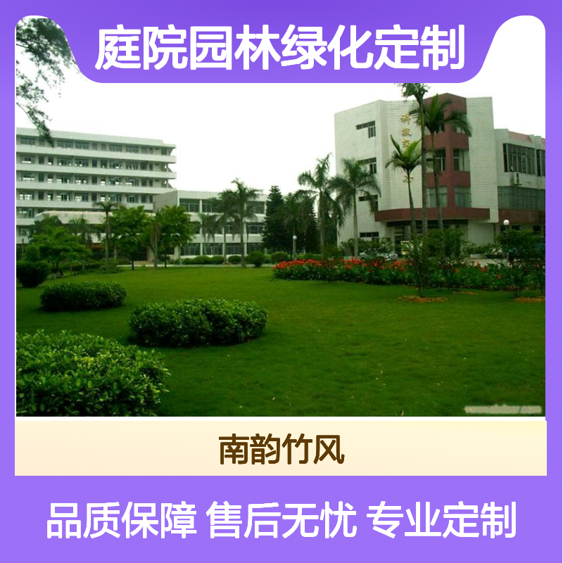 校园绿化施工 庭院园林绿化定制 三个月养护期 售后无忧 南韵竹风