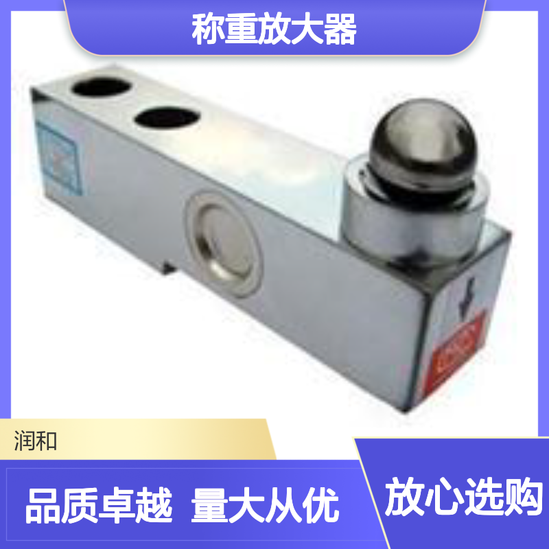 芬兰RAUTE PRECISION称重放大器 Z6 型号 计量设备