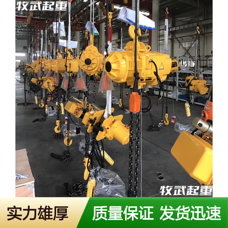 牧武2吨4米双链环链电动葫芦MWH-02002SE 起重机械合金钢材质