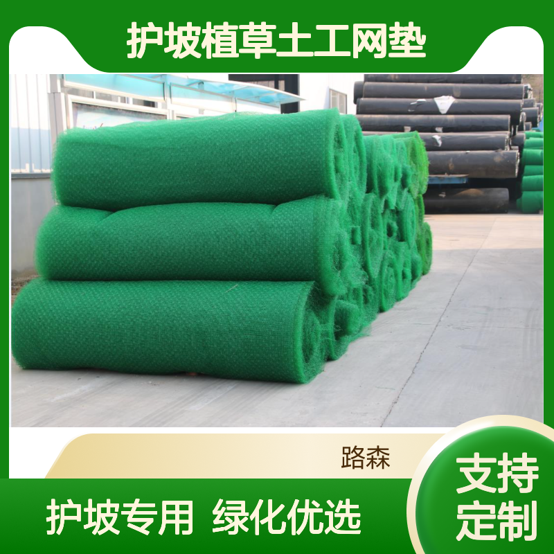 边坡防护绿化用三维植被网 护坡植草土工网垫 EM1-EM5 支持定做
