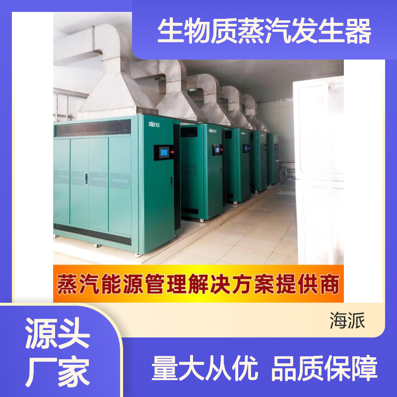 生物质蒸汽发生器 一站式服务 安全环保 智能运行