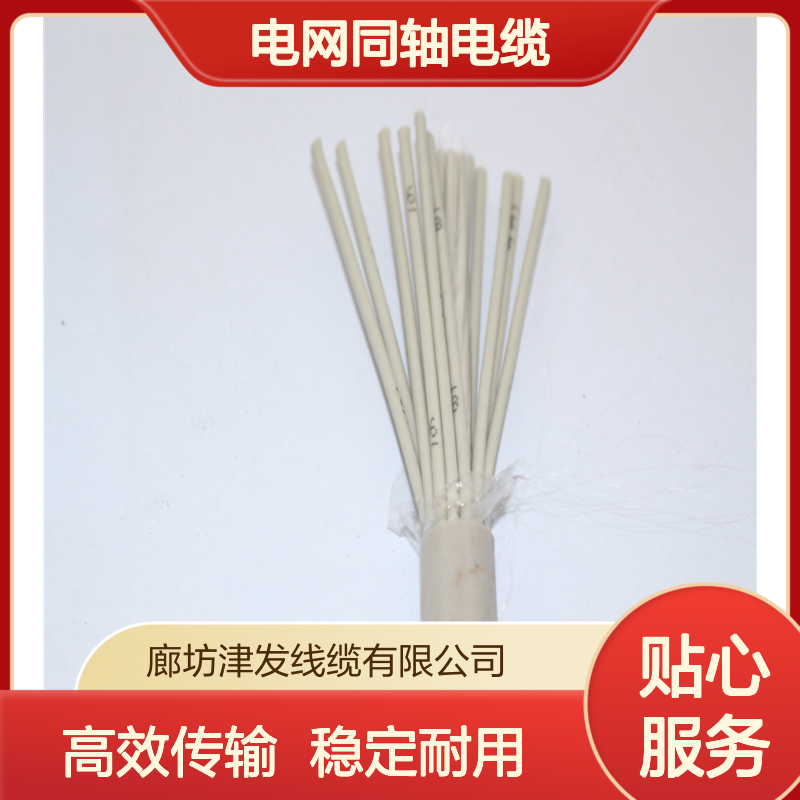 电网同轴电缆SYV-75-2-2*16多芯73基站通信两兆线