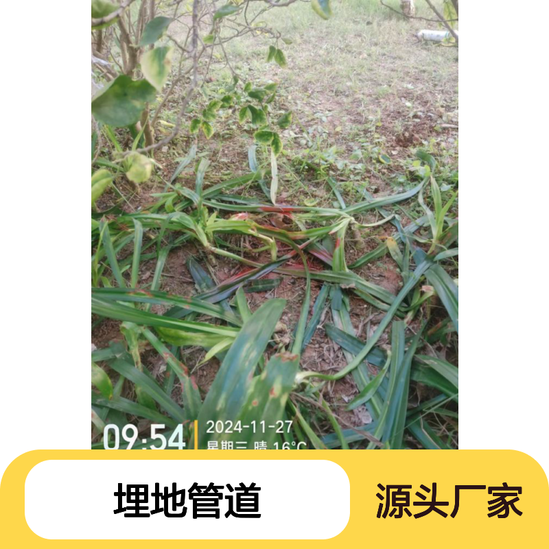 伟兴达管线检测 惠东专业查漏维修