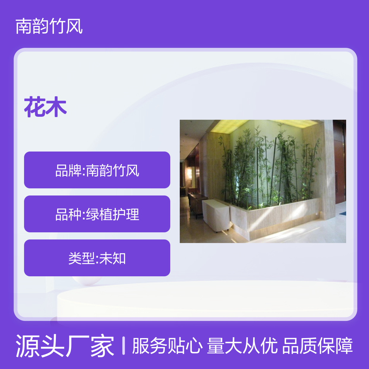 南韵竹风花木租赁 承接绿化工程 成活率高 品种多样