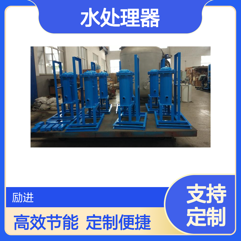 碳钢旁通水处理器 励进LJ-II-10F型号定制服务