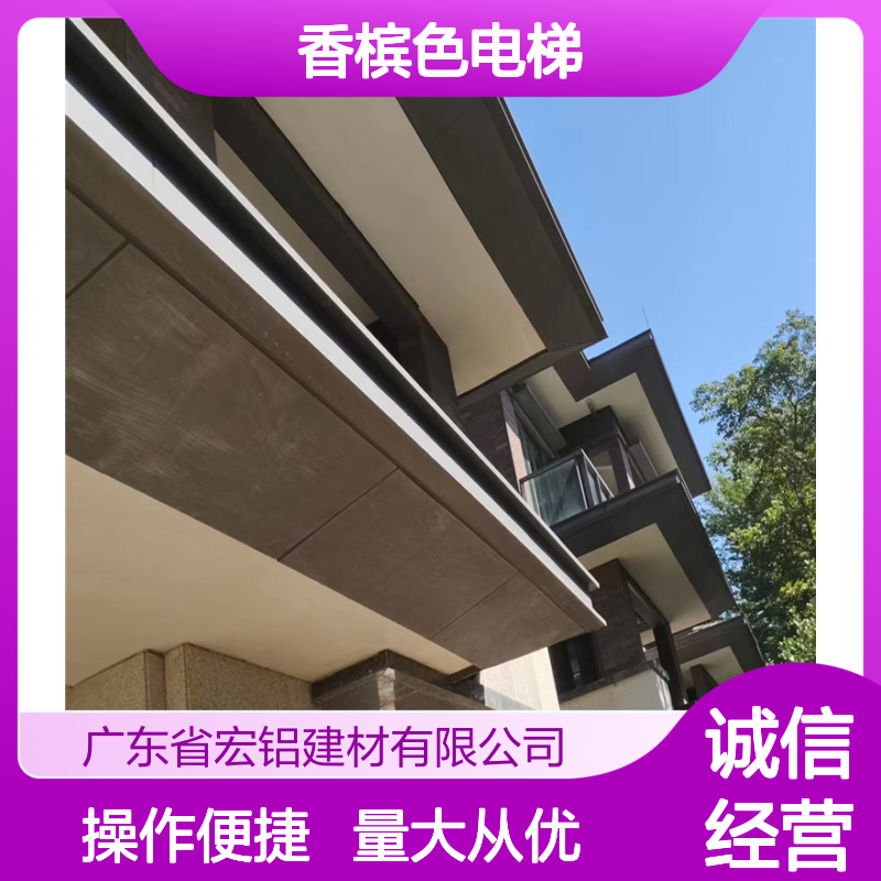 香槟色电梯铝板幕墙 优雅色泽金属质感 高端商业住宅优选