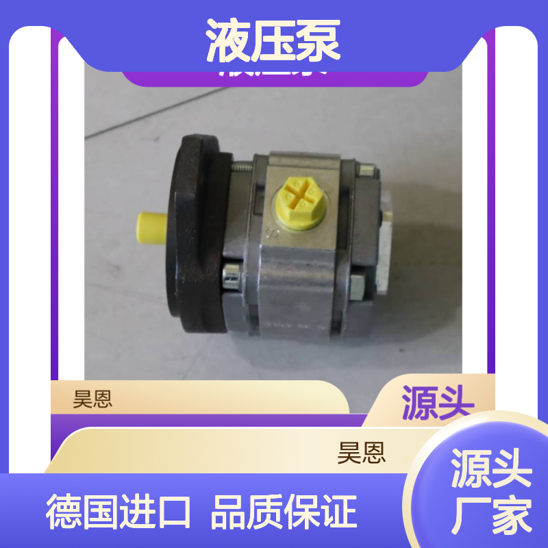 德国进口PGF1-2X/4.1RE01VU2 R900086163液压泵 铸铁材质蓝色