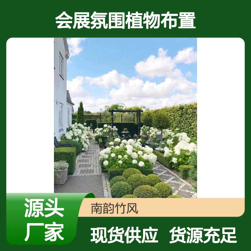 花箱容器绿植造景 场地花卉盆栽组合 会展氛围植物布置 南韵竹风
