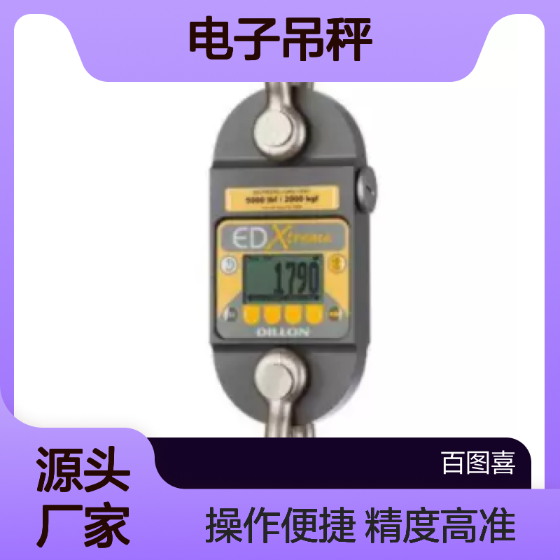 百图喜安全防护用品提供 美国DILLON电子吊秤EDjunior拉力计