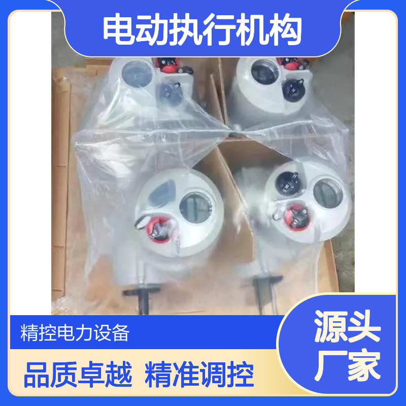 罗托克IQT/IQTM计数器板组件IQTM500F14B4调节型电动执行机构