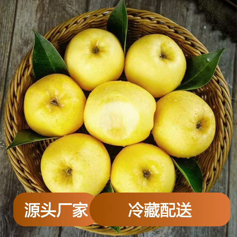 维纳斯黄金苹果冷藏配送 冷链运输一体化服务