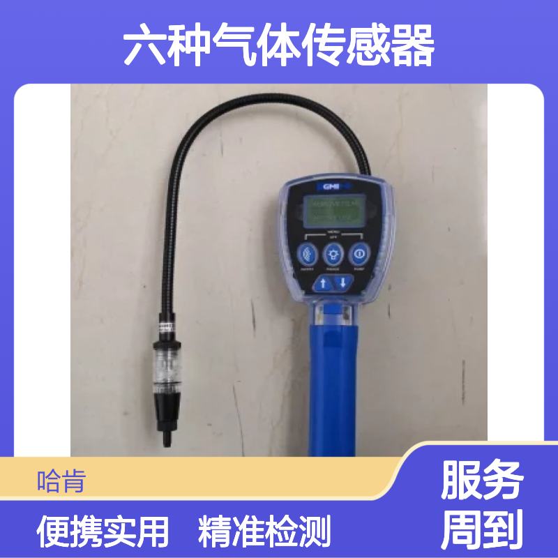 GMI（英国）GT-44便携式有害气体测试仪 配置六种气体传感器