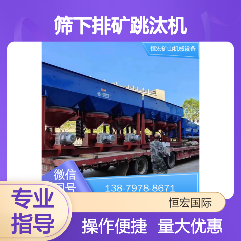 恒宏机械 筛下排矿跳汰机 单双动力可选 高回收率金矿选矿设备