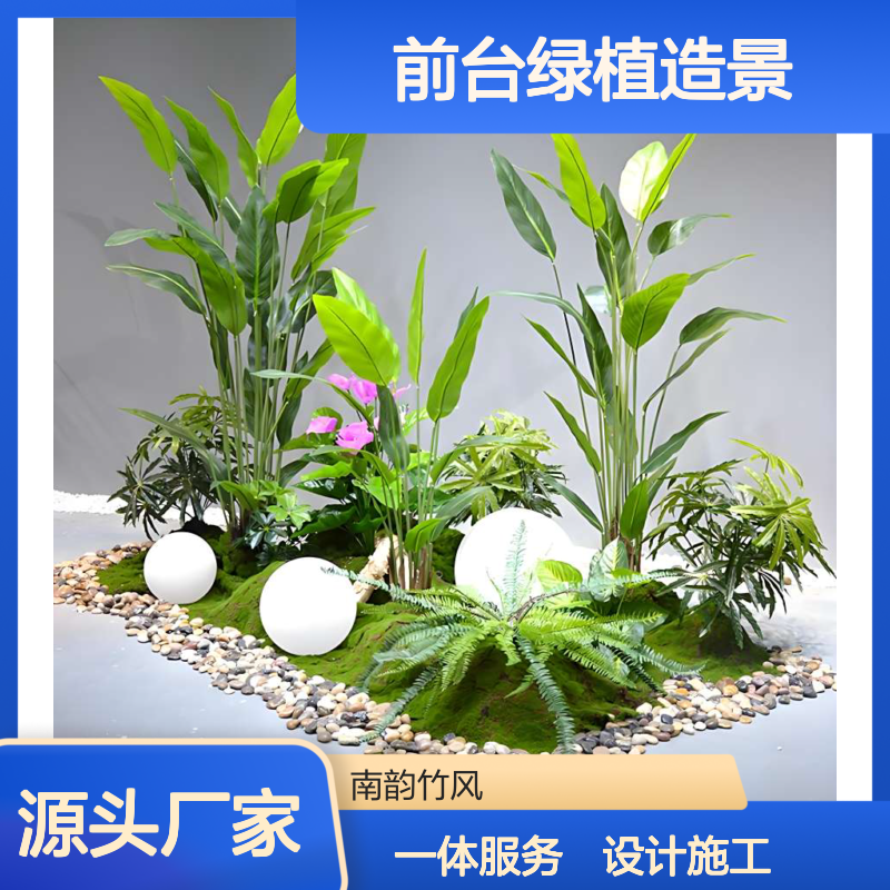 植物盆栽装饰 前台绿植造景 提供平面图绘制 合理利用场地资源