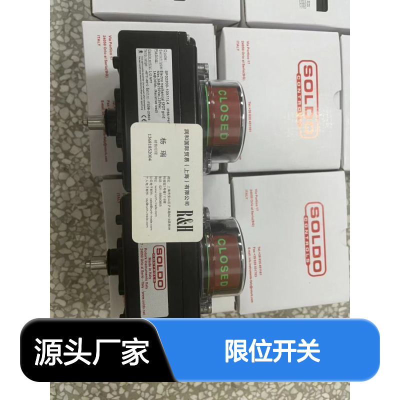 SOLDO限位开关SE系列 直行程阀门远程指示 防爆外壳高机械强度