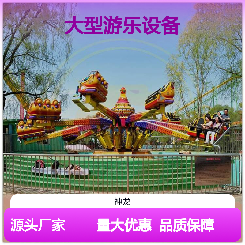 弹跳机 年轻人都爱玩的大型游乐设备 神龙游乐供应