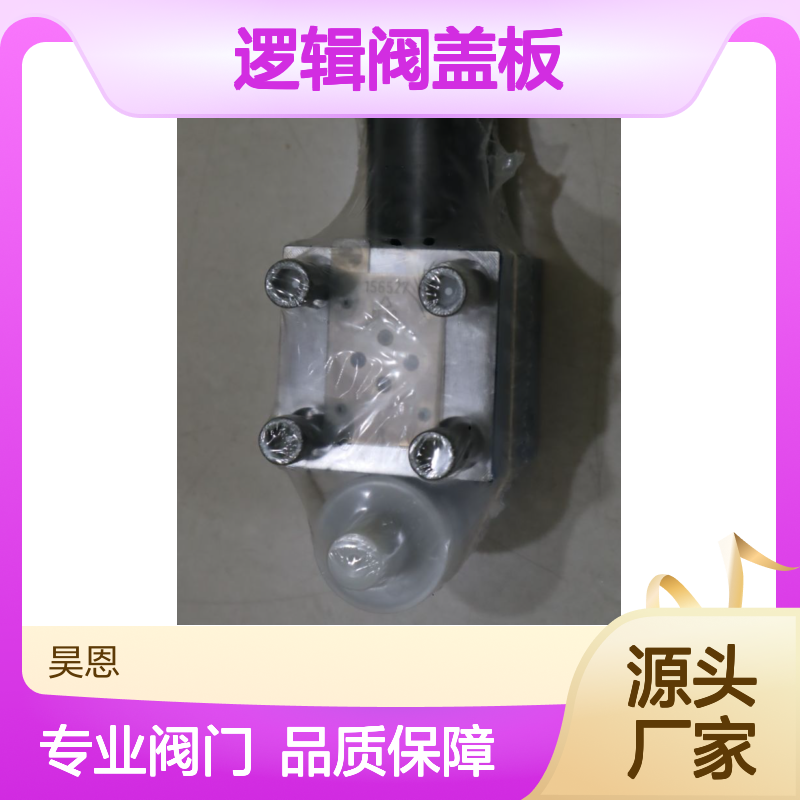 R900949305 LFA25EWA-7X/CA20DQMG24A08 力士乐REXROTH逻辑阀盖板