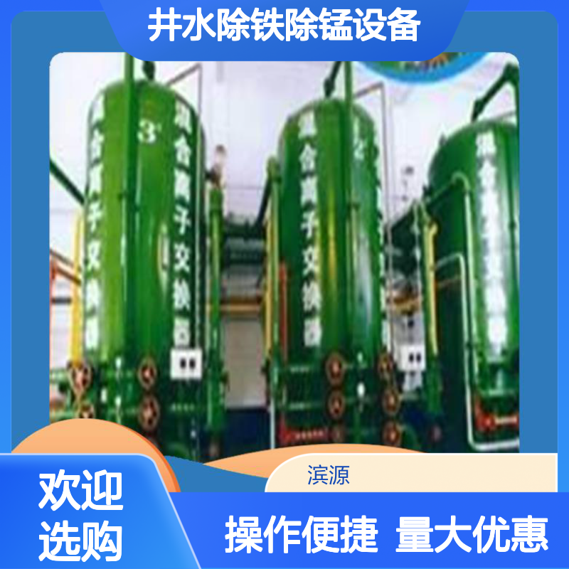 滨源 井水除铁除锰设备 自动化控制 节能高效 净化水质