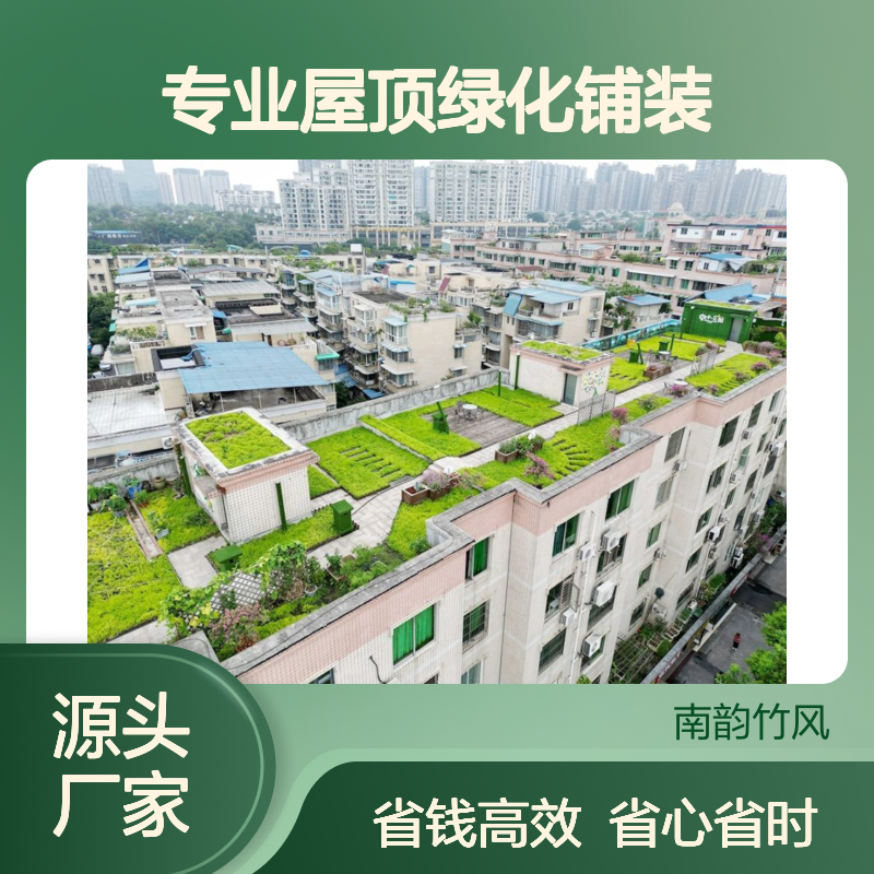 专业屋顶绿化铺装 施工养护一体化 深圳南韵竹风服务无忧