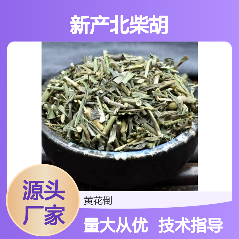 新产北柴胡种子 农户直供 耐寒耐旱易存活 专业指导