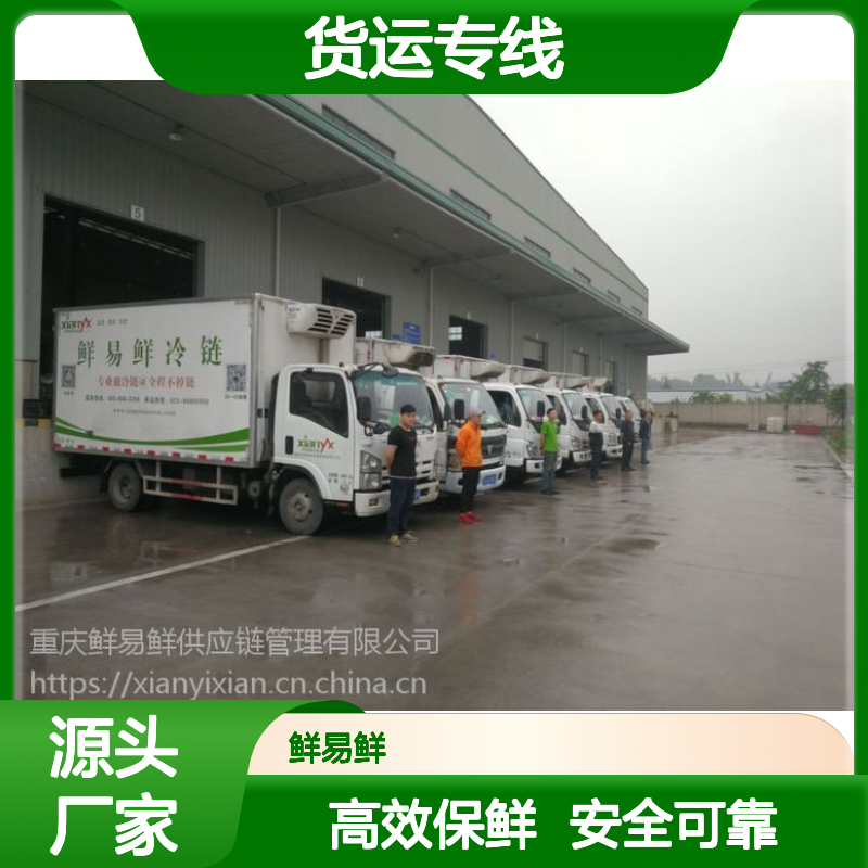 东莞到佛山货运专线 整车物流 冷链运输 安全专业靠谱