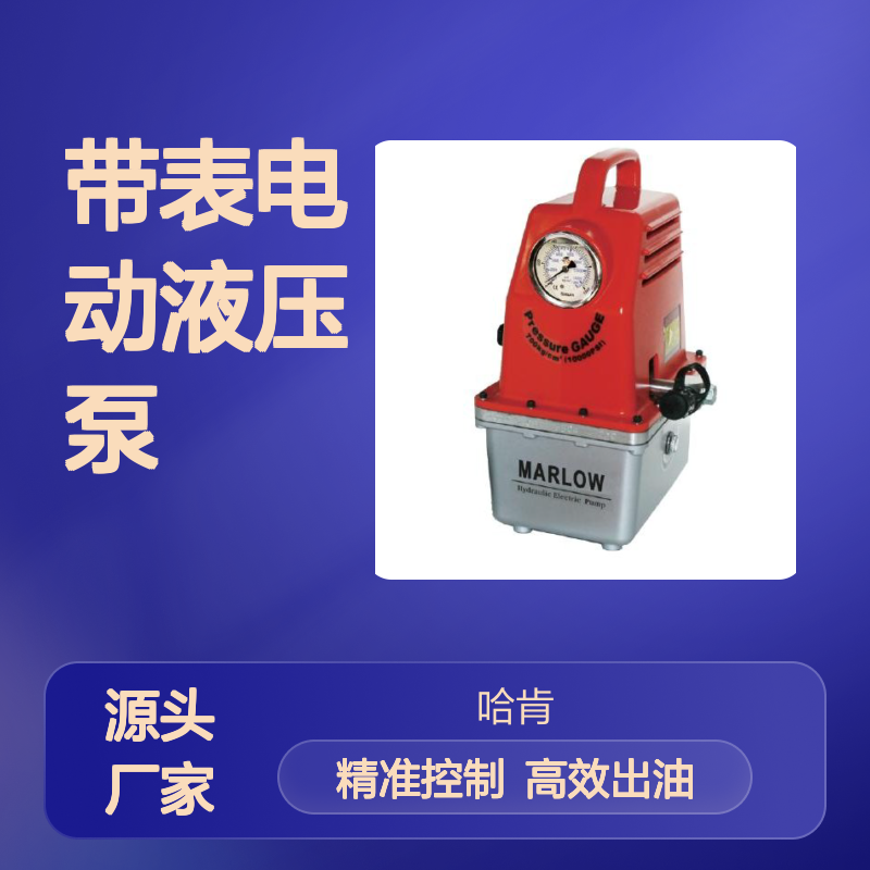 马尔禄总代理 单回路带表电动液压泵CTE-25AS R14E-F1 HPE-160M