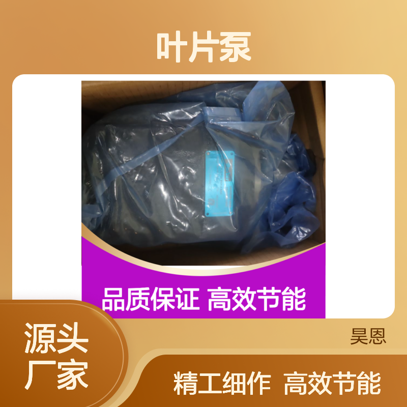 T7DS E31 1R01 A1MW 054-49777-001S 派克PARKER丹尼逊DENISON叶片泵