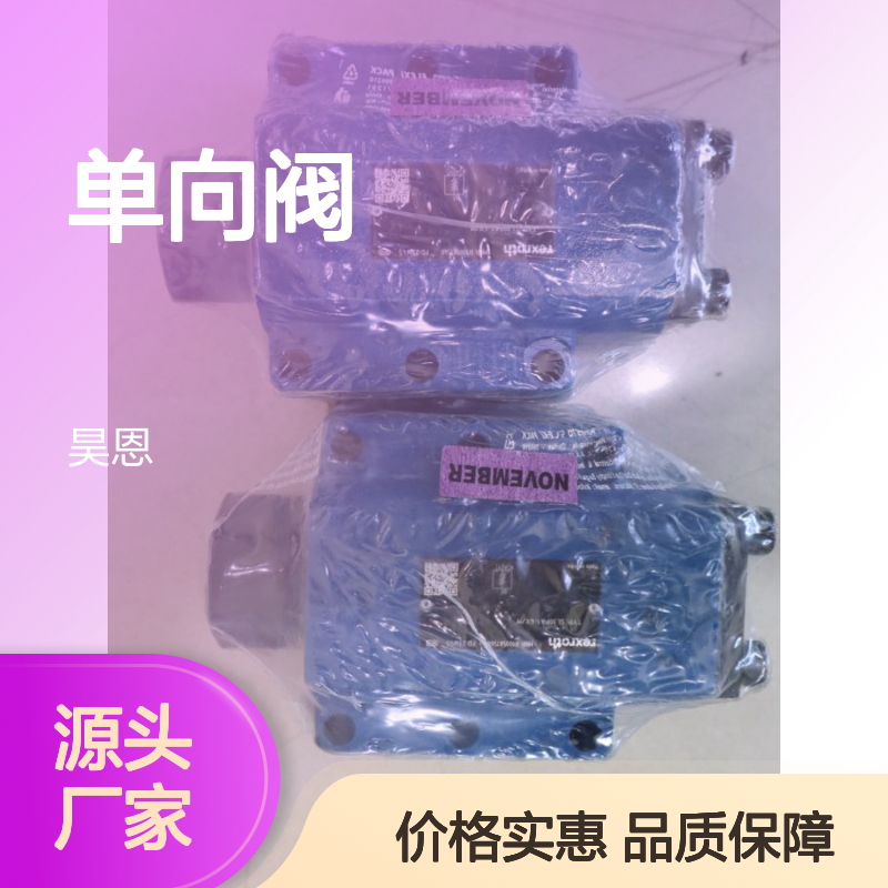 SL30PA1-4X/M SL30PA1-42/M R900587560 德国力士乐REXROTH单向阀