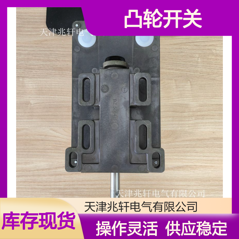 凸轮开关BNS 250-12Z-2187 5M 常年供应开关锁 操作灵活