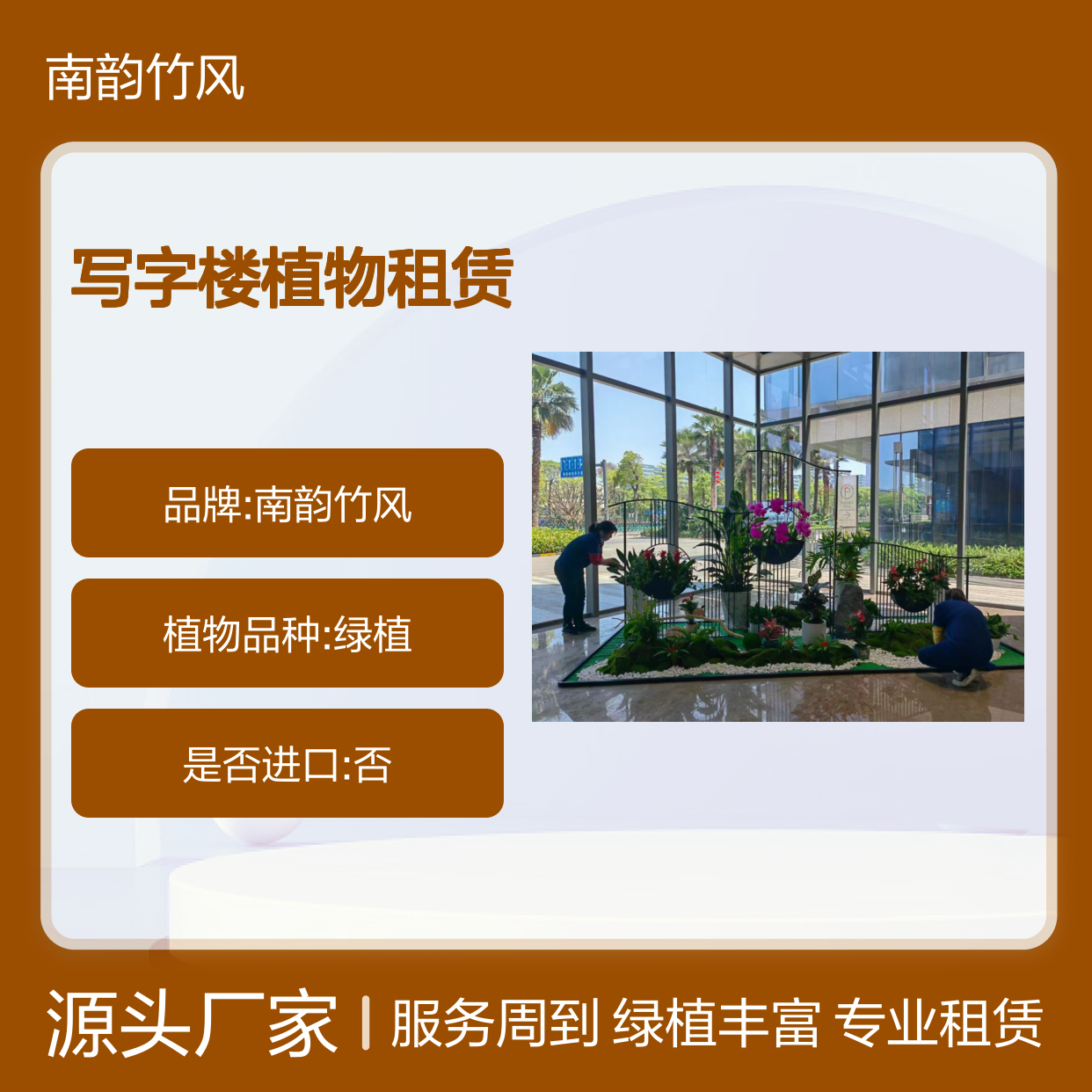物理管理绿化养护项费用 写字楼植物租赁服务 办公室绿植布置