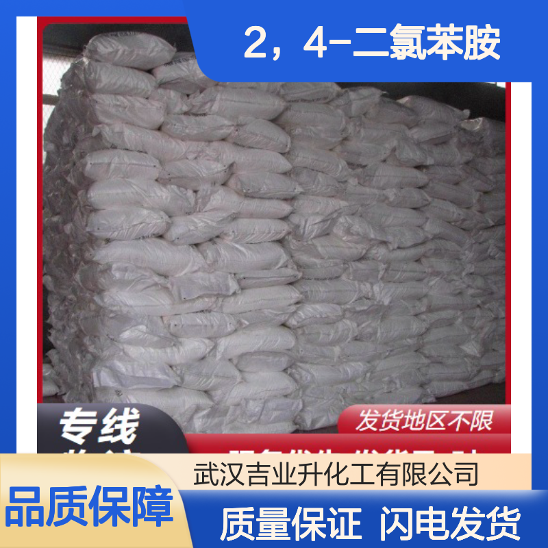 2，4-二氯苯胺 554-00-7 含量99% 白色粉末 中间体