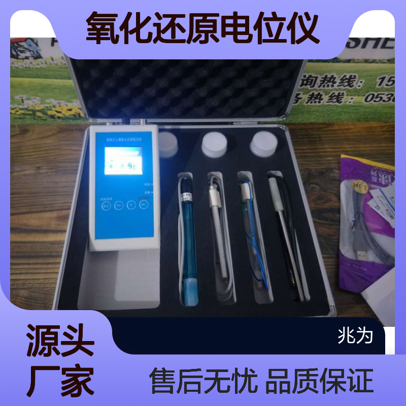 ST-100智能便携式氧化还原电位仪 测量精准