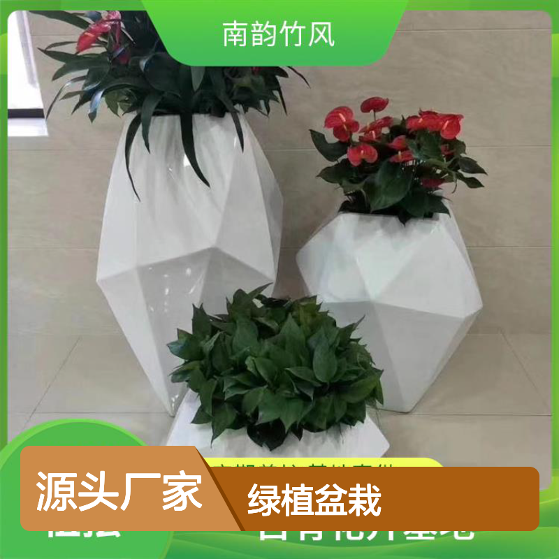 南韵竹风 绿植盆栽 花卉租摆 园林设计 品种丰富
