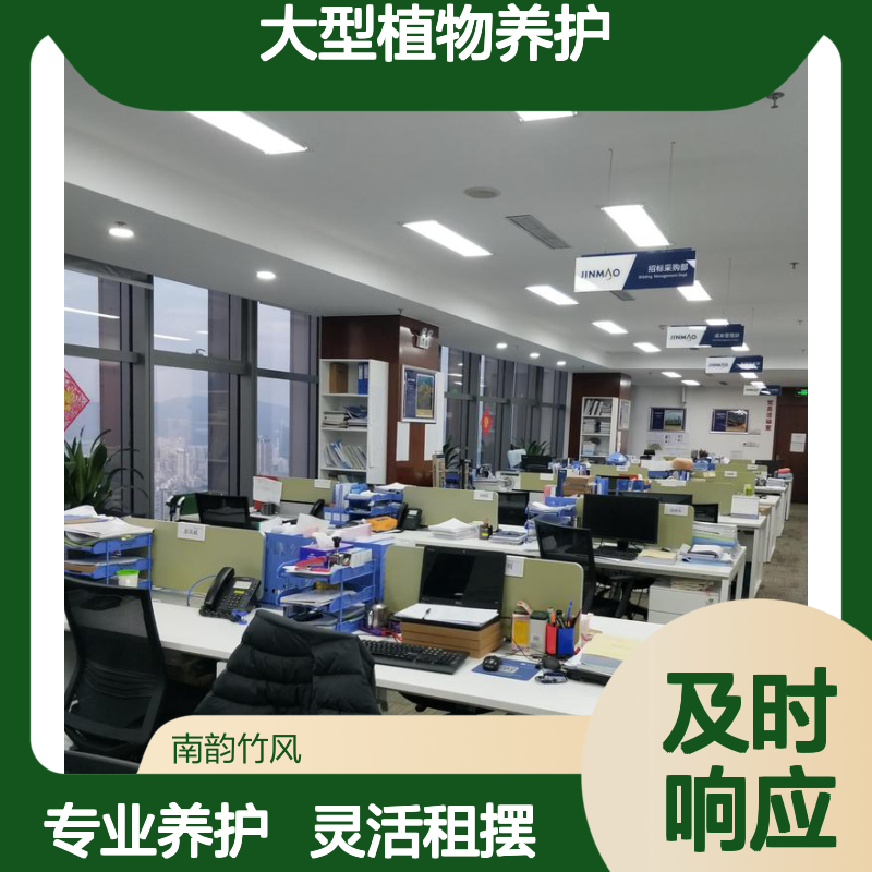 绿植养护福 田市民中心大型植物养护 南韵竹风