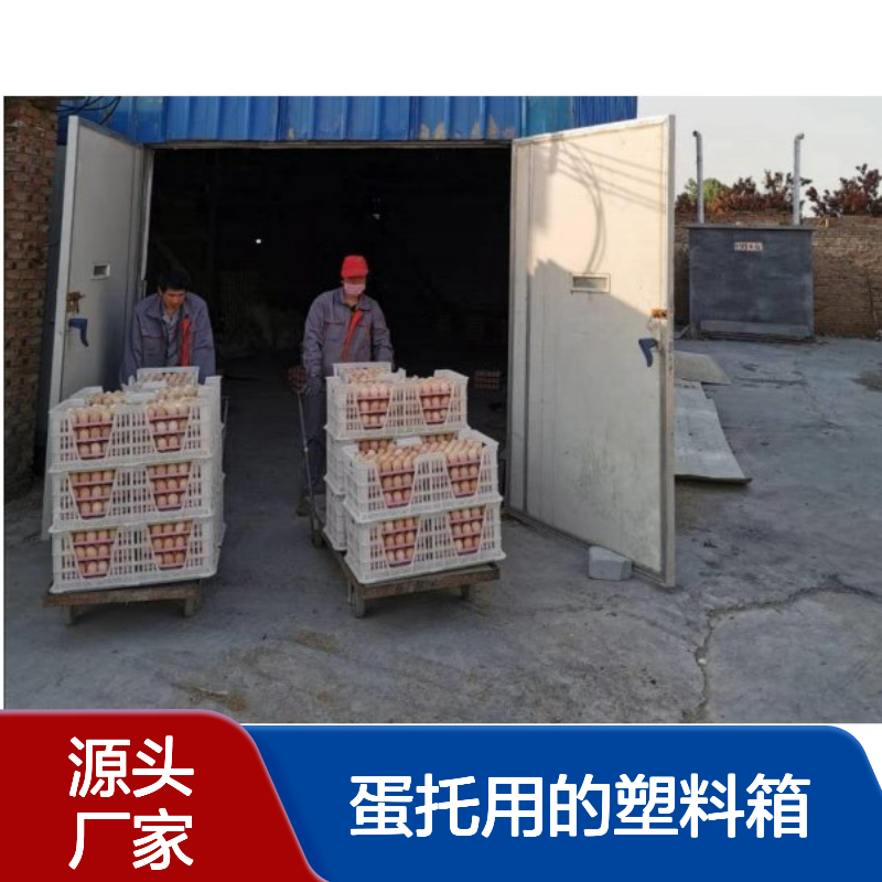 供应新式加厚蛋筐 配套蛋托用的塑料箱 种鸡舍转运箱