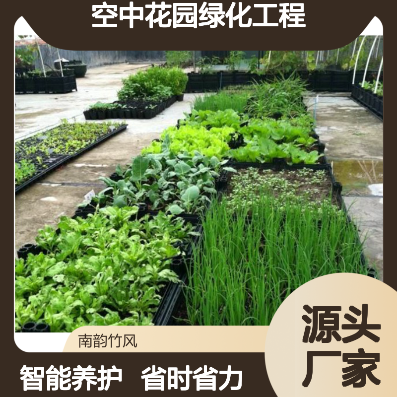 屋顶园林景观制作 空中花园绿化工程 让城市不再是冰冷的混凝土