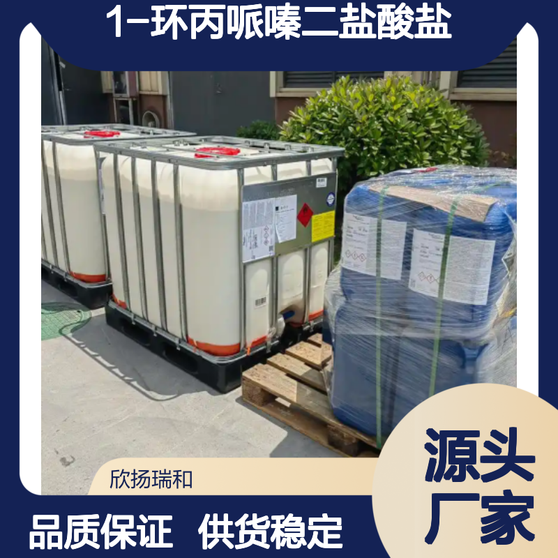 高含量1-环丙哌嗪二盐酸盐 工业级标准 欣扬瑞和