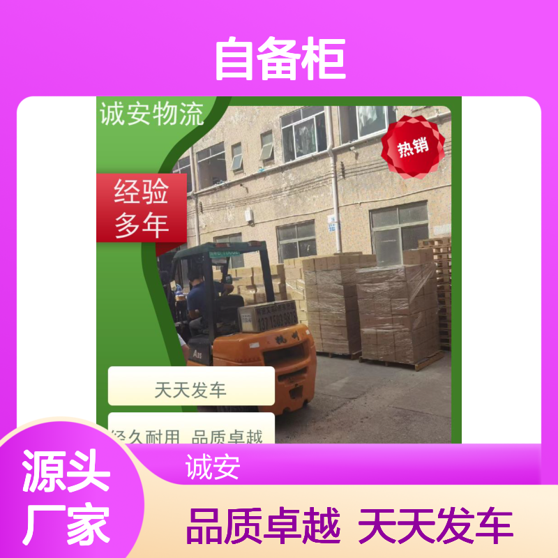 诚安物流 45尺自备柜 东莞到南宁 陆运送货到门 半天到