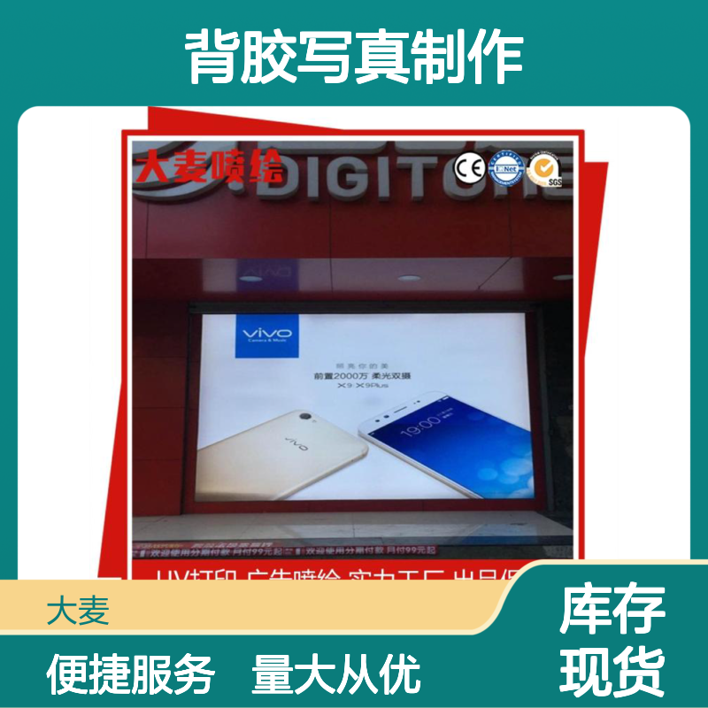 PP PVC背胶写真制作 实力工厂出品 专业广告喷绘服务