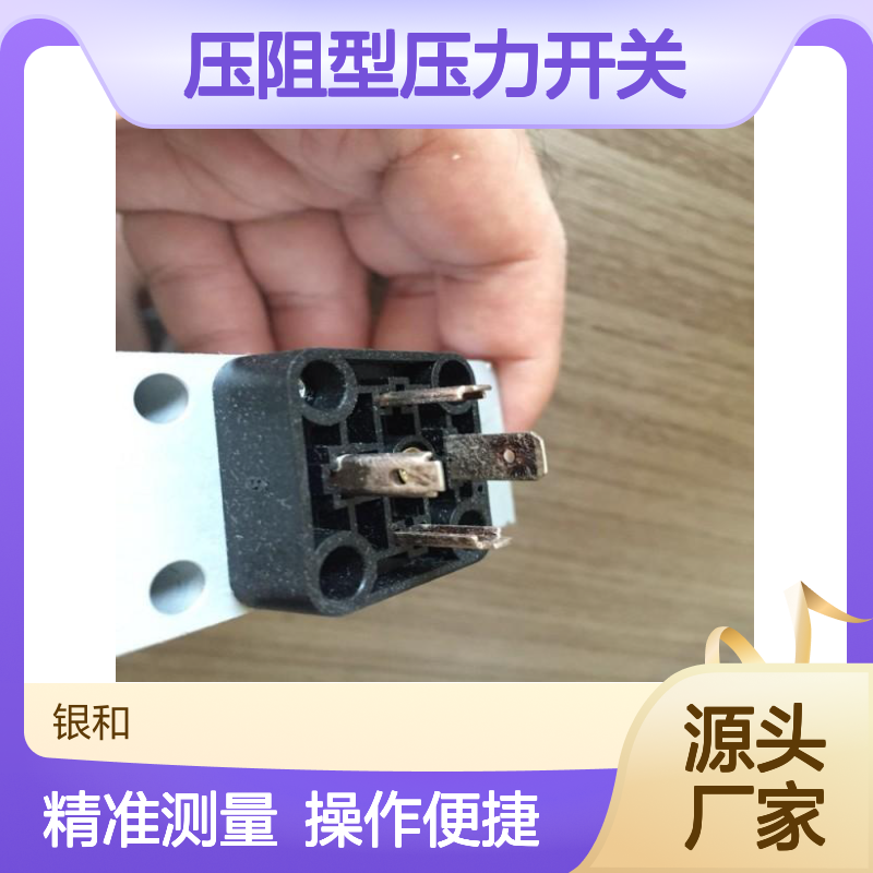 操作简单 KOBOLD压力表 NQ-1000 压阻型压力开关