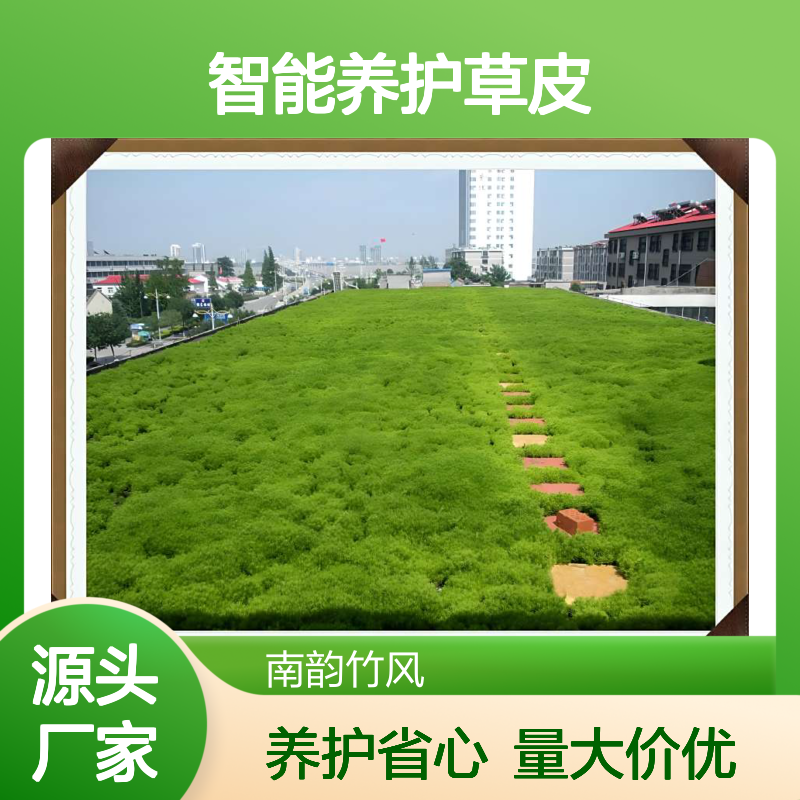 深 圳佛甲草草皮批发 屋顶绿化品种 智能养护草皮 免人工 南韵竹风