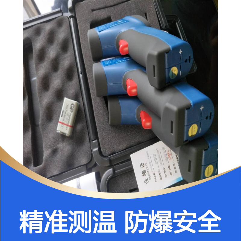 CWH600矿用本安红外测温仪 非接触高精度 防爆型测温设备