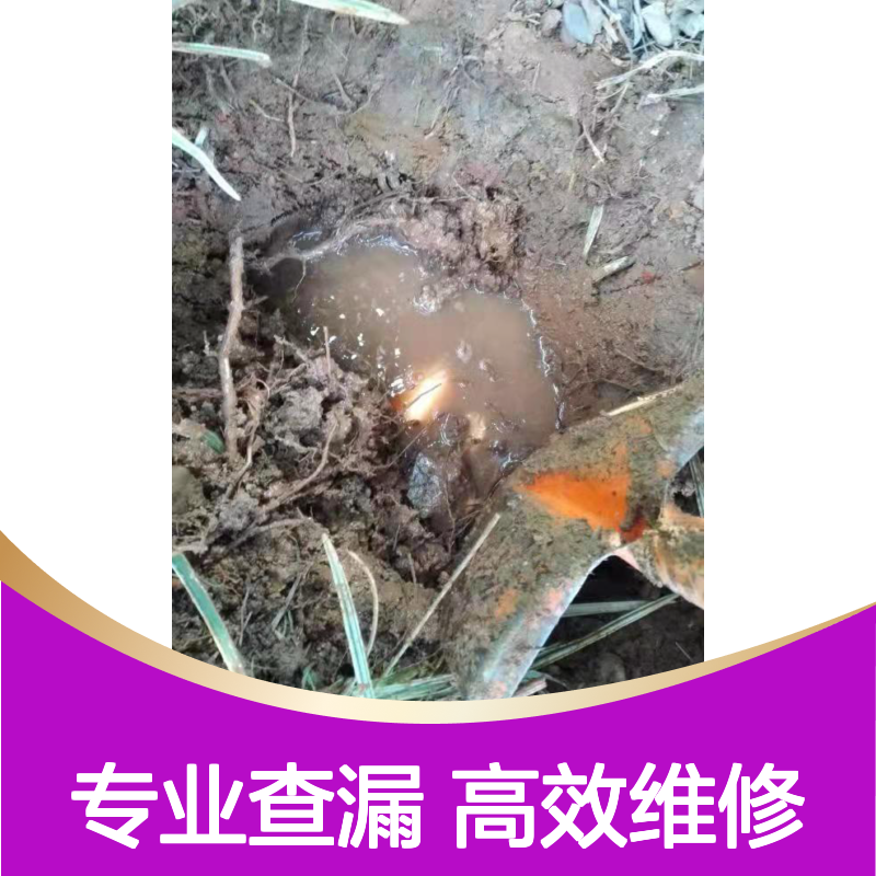 宝安厂区自来水管查漏，探测消防管道漏水点，小区埋地水管维修
